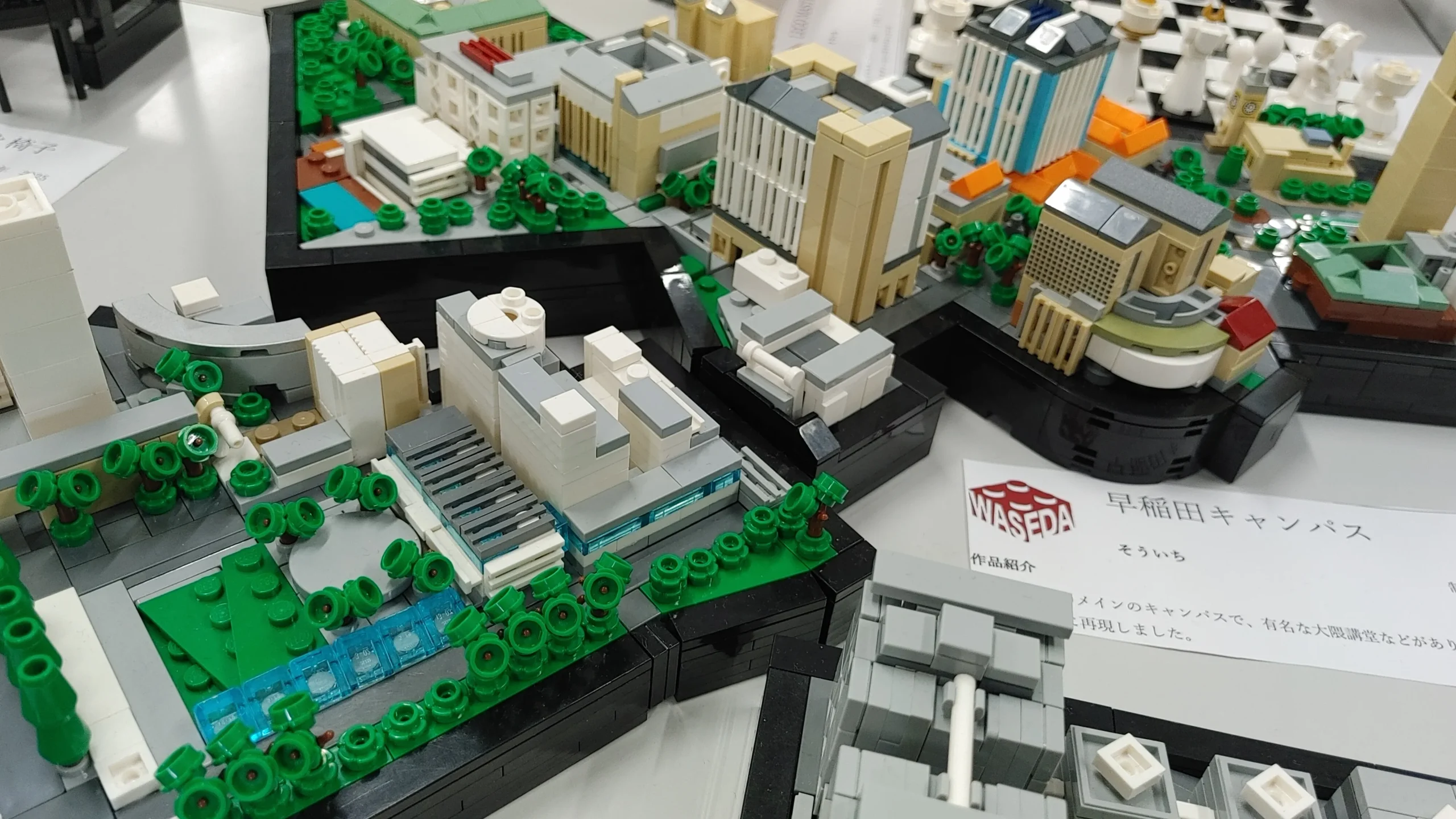 作品展示